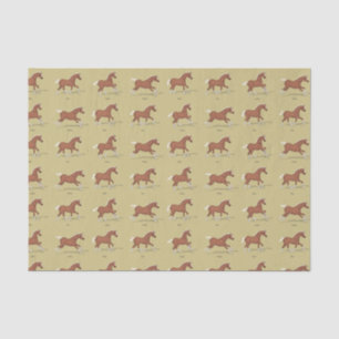 Gaits of the Horse Walk Trot Canter Gallop Sorrel Tissue Paper