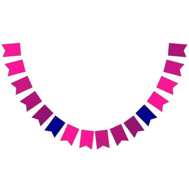 Galactic Theme Cosmic Pink to Dark Blue Gradient  Bunting (All)
