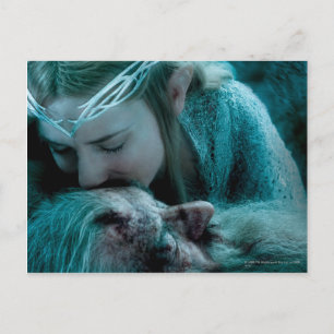 Galadriel Kisses Gandalf Postcard