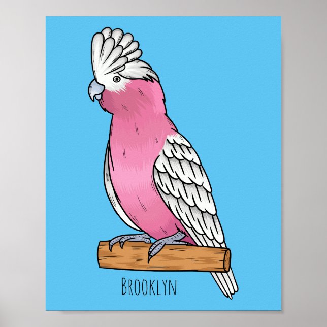 Galah bird cartoon illustration  poster (Front)
