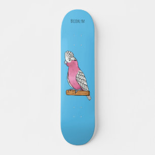Galah bird cartoon illustration skateboard
