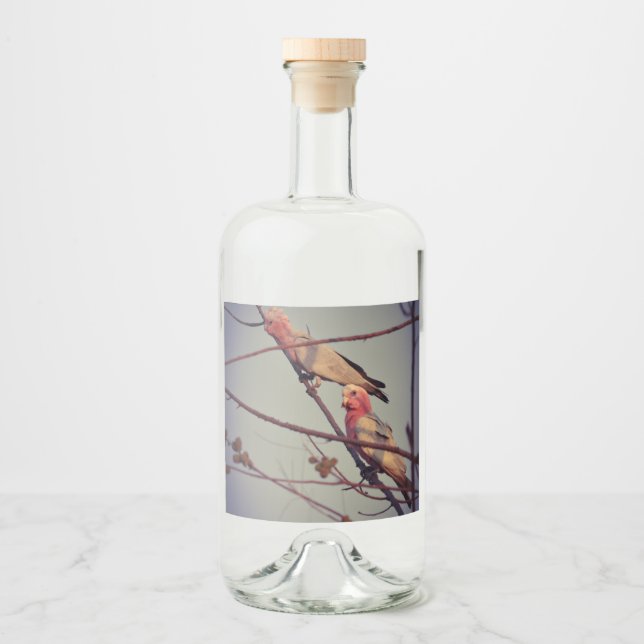 Galah birds in tree2 liquor bottle label (Front)