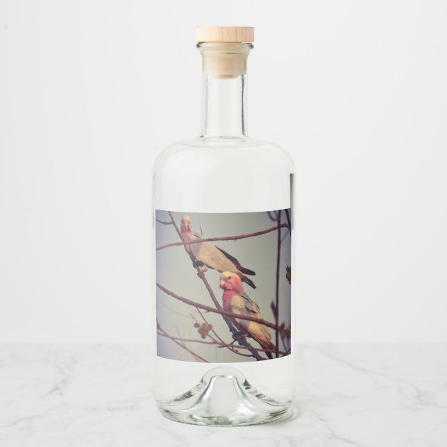 Galah birds in tree 1 liquor bottle label (Front)