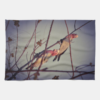 Galah birds in tree 1 tea towel