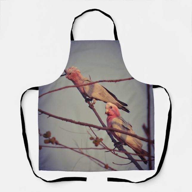 Galah birds in tree 2 apron (Front)