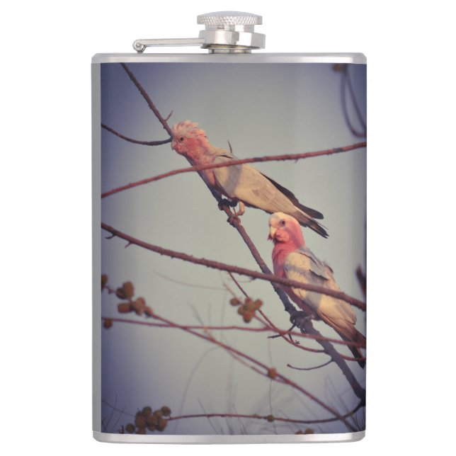 Galah birds in tree 2 hip flask (Front)