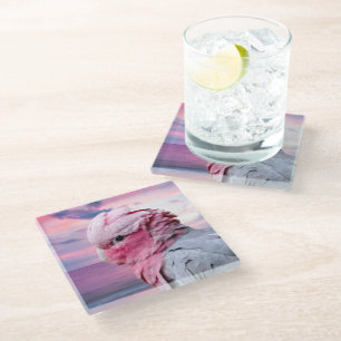 Galah Cockatoo Glass Coaster