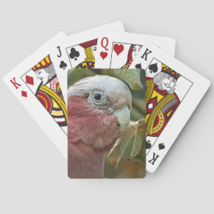 Galah Cockatoo Pink Australian Bird Portrait Playing Cards