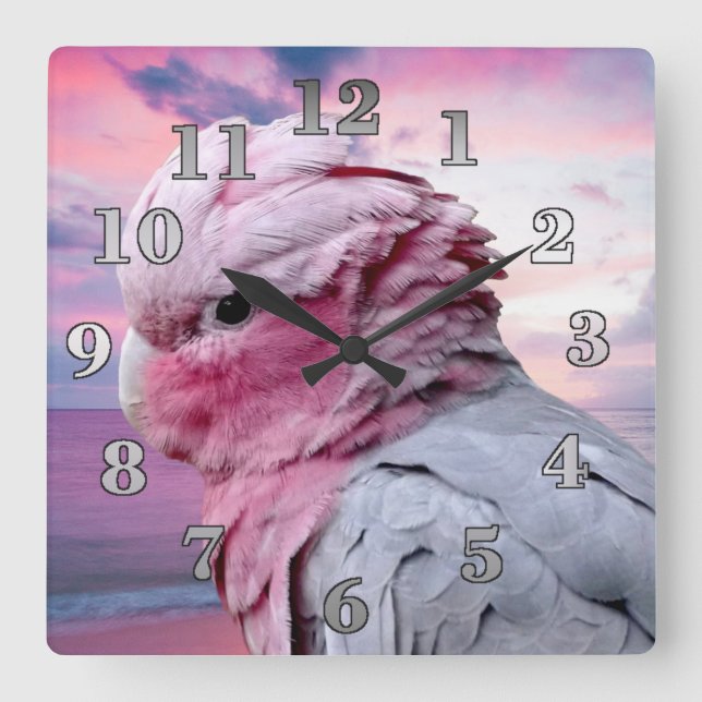 Galah Cockatoo Square Wall Clock (Front)