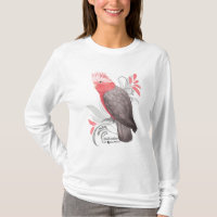Galah Cockatoo