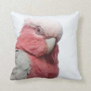Galah Cushion