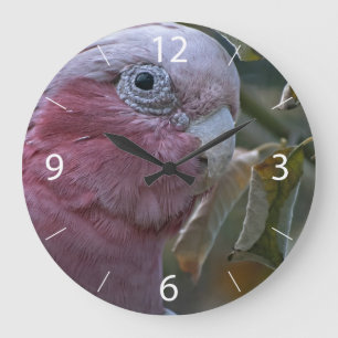 Galah Large Clock