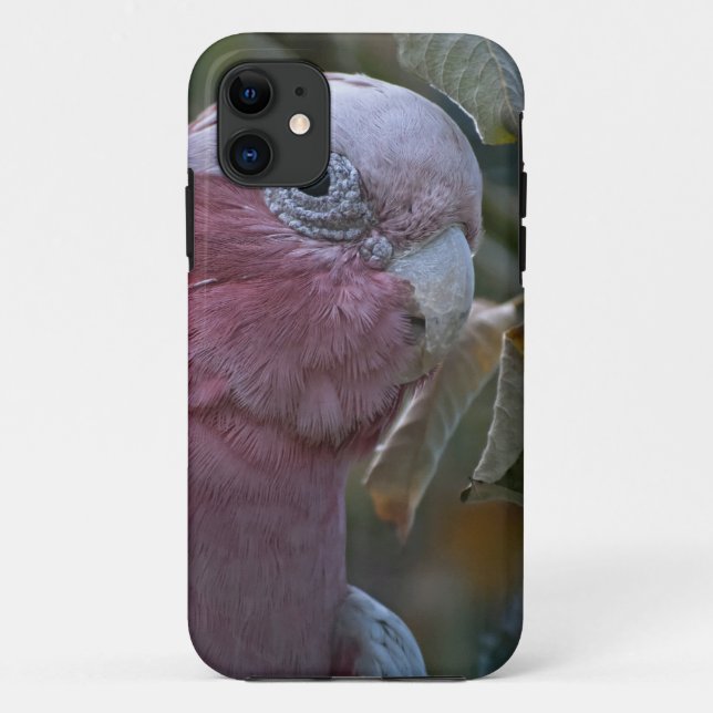 Galah or Rose-breasted Cockatoo Case-Mate iPhone Case (Back)