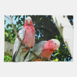 Galah (Rose Breasted Cockatoo) Tea Towel