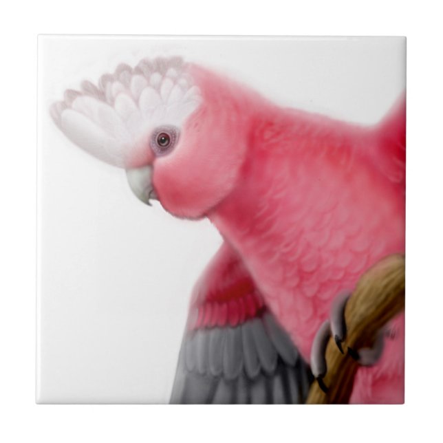 Galah Rose Breasted Cockatoo Tile (Front)