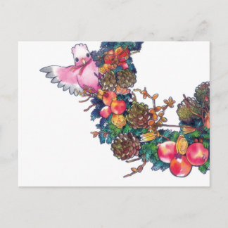 Galah with Christmas C Holiday Postcard