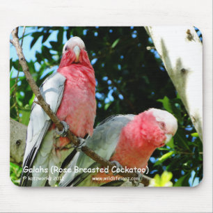 Galahs (Rose Breasted Cockatoo) Mouse Mat