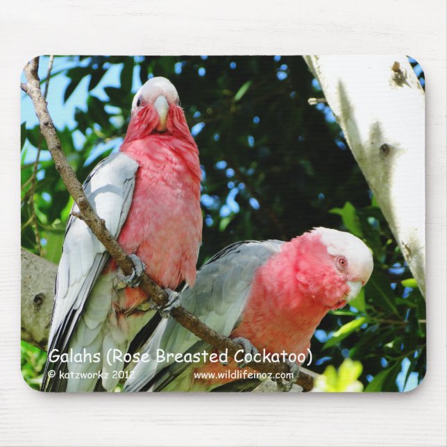 Galahs (Rose Breasted Cockatoo) Mouse Mat (Front)