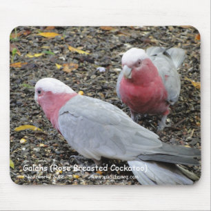 Galahs (Rose Breasted Cockatoo) Mouse Mat