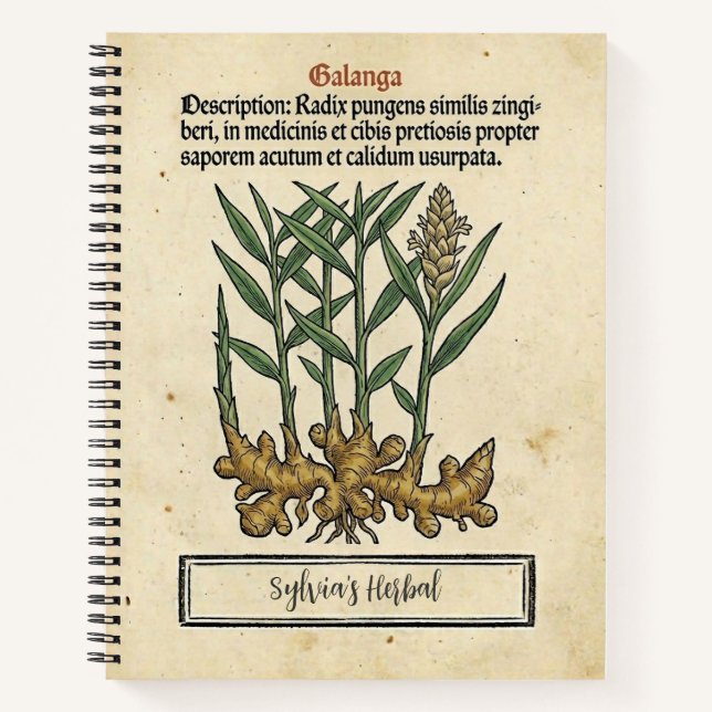 Galangal Root: The Apothecary's Mediaeval Recipe Notebook (Front)