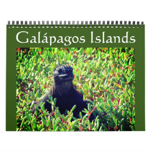 galapagos animals 2026 calendar