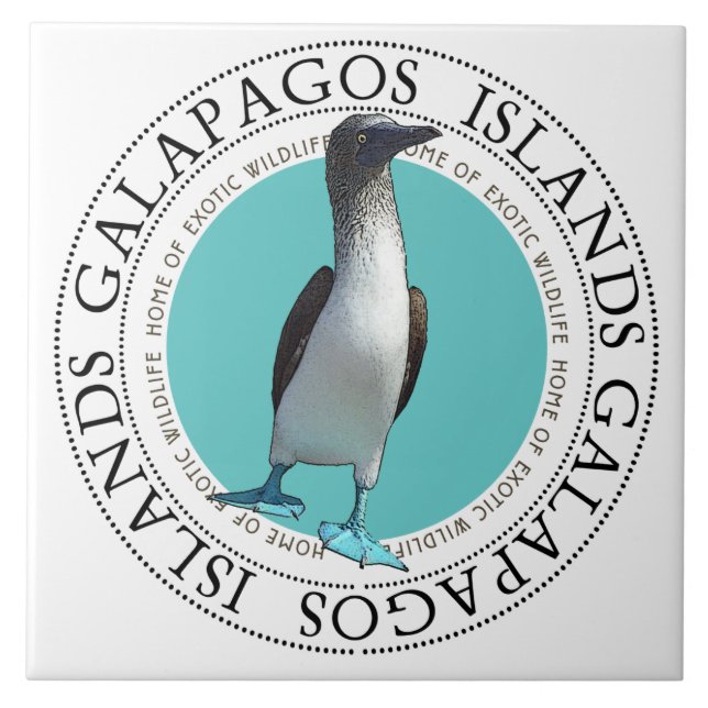 Galapagos Blue Footed Bird Tile (Front)