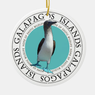 Galapagos Blue Footed Booby Ceramic Tree Decoration