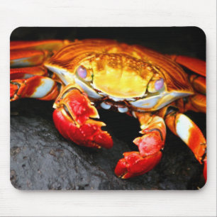 Galapagos Crab Mouse Mat