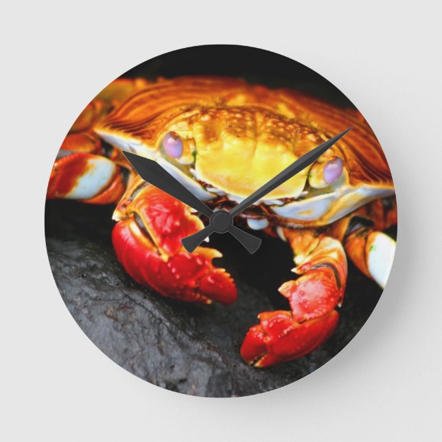 Galapagos Crab Round Clock (Front)