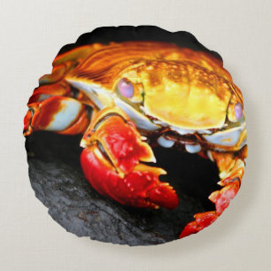 Galapagos Crab Round Cushion