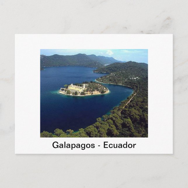 Galapagos - Ecuador Postcard (Front)