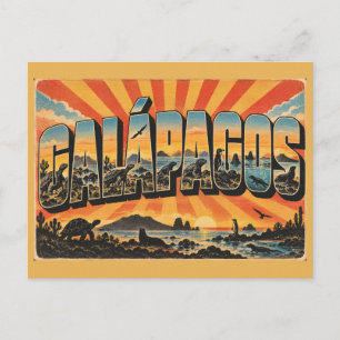 Galápagos Ecuador Wildlife Volcanoes Ocean Art Postcard