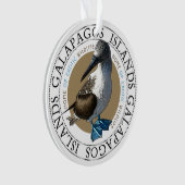 Galapagos Islands Blue Footed Booby Bird Ornament (Front)