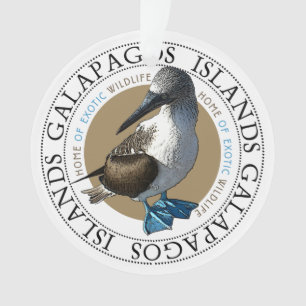 Galapagos Islands Blue Footed Booby Bird Ornament