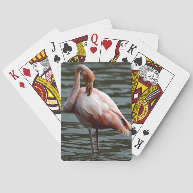 Galapagos Islands Flamingo Playing Cards (Back)