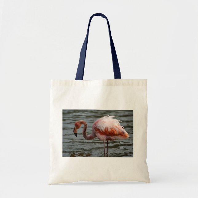 Galapagos Islands Flamingo Tote Bag (Front)