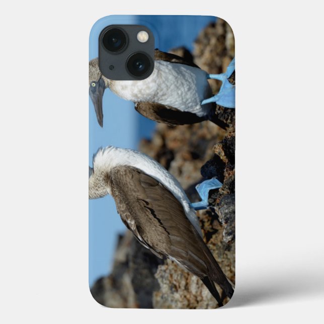Galapagos Islands, Isabela Island Case-Mate iPhone Case (Back)