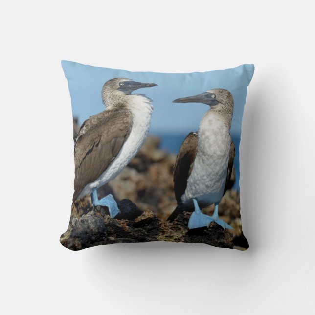 Galapagos Islands, Isabela Island Cushion (Front)