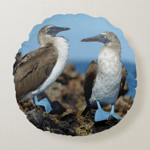 Galapagos Islands, Isabela Island Round Cushion