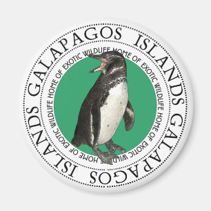 Galapagos Islands Penguin Magnet