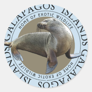 Galapagos Islands Seals Sea Lions