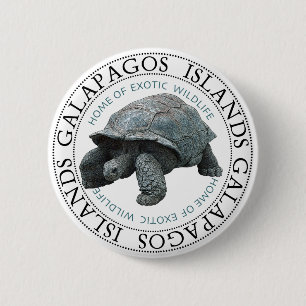 Galapagos Islands Tortoise 6 Cm Round Badge