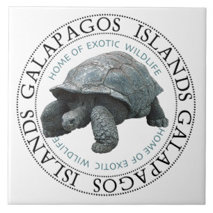 Galapagos Islands Tortoise T-Shirt Tile