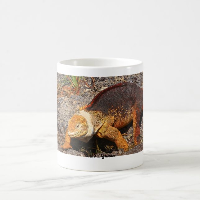 Galapagos Land Iguana Coffee Mug (Center)
