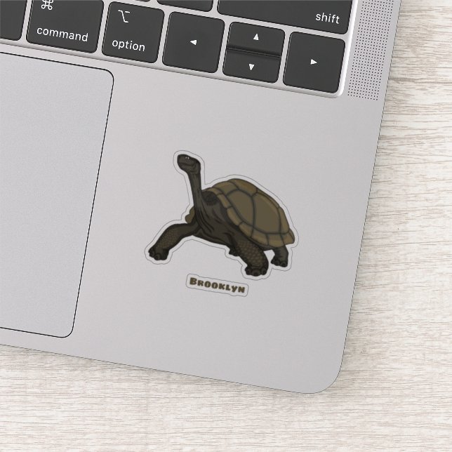 Galapagos land tortoise illustration  (Detail)