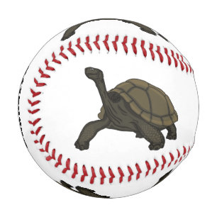 Galapagos land tortoise illustration baseball