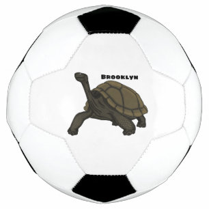 Galapagos land tortoise illustration football