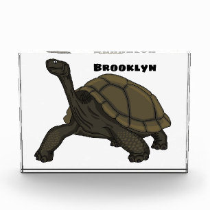 Galapagos land tortoise illustration photo block