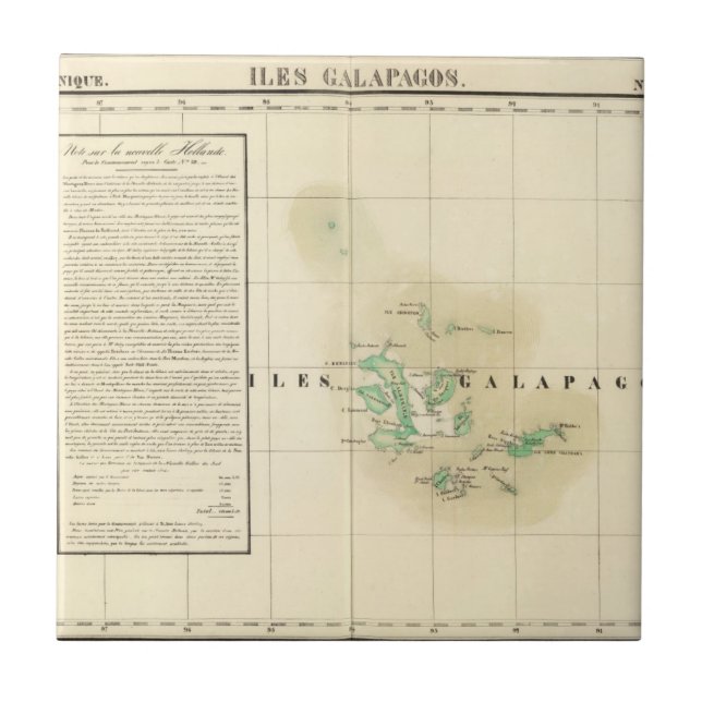 Galapagos Oceania no 17 Tile (Front)