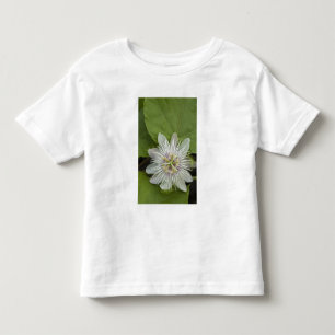 Galapagos Passion Flower Passiflora foetida Toddler T-Shirt